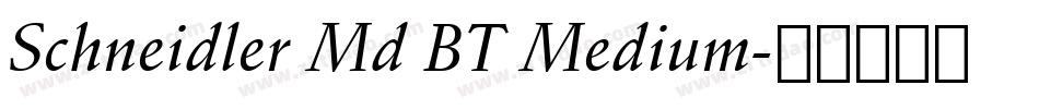 Schneidler Md BT Medium字体转换